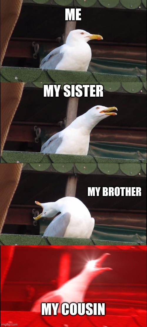 Inhaling Seagull | ME; MY SISTER; MY BROTHER; MY COUSIN | image tagged in memes,inhaling seagull | made w/ Imgflip meme maker