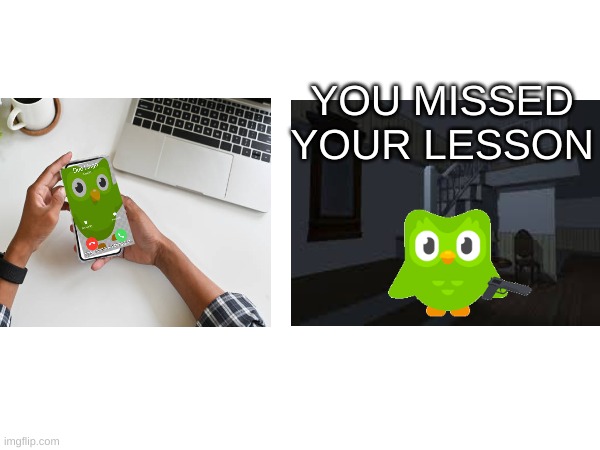 Oh no... | YOU MISSED YOUR LESSON | image tagged in duolingo | made w/ Imgflip meme maker
