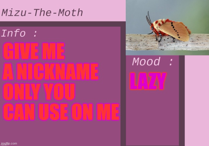 Nickname time | GIVE ME A NICKNAME ONLY YOU CAN USE ON ME; LAZY | image tagged in mizu-the-moth | made w/ Imgflip meme maker