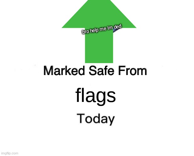 Marked Safe From Meme | bro help me Im ded; flags | image tagged in memes,marked safe from | made w/ Imgflip meme maker