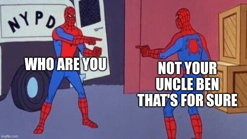 spiderman pointing at spiderman | WHO ARE YOU; NOT YOUR UNCLE BEN THAT'S FOR SURE | image tagged in spiderman pointing at spiderman | made w/ Imgflip meme maker