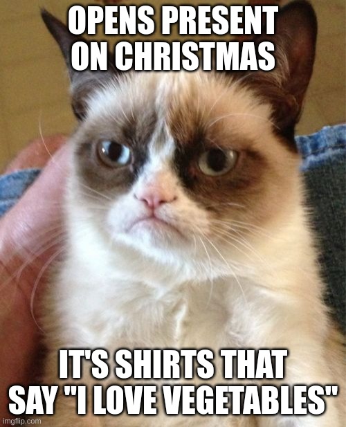 Grumpy Cat |  OPENS PRESENT ON CHRISTMAS; IT'S SHIRTS THAT SAY "I LOVE VEGETABLES" | image tagged in memes,grumpy cat | made w/ Imgflip meme maker