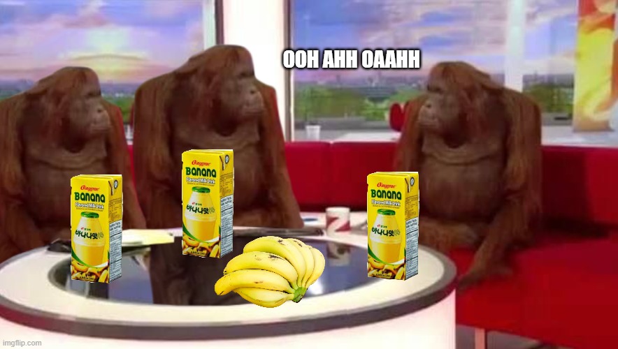 monke interview |  OOH AHH OAAHH | image tagged in where monkey | made w/ Imgflip meme maker