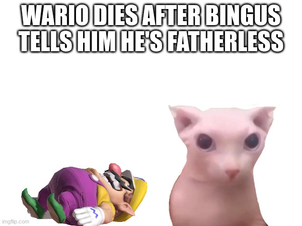 wariless |  WARIO DIES AFTER BINGUS TELLS HIM HE'S FATHERLESS | made w/ Imgflip meme maker