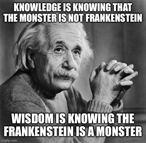 Einstein | KNOWLEDGE IS KNOWING THAT THE MONSTER IS NOT FRANKENSTEIN WISDOM IS KNOWING THE FRANKENSTEIN IS A MONSTER | image tagged in einstein | made w/ Imgflip meme maker