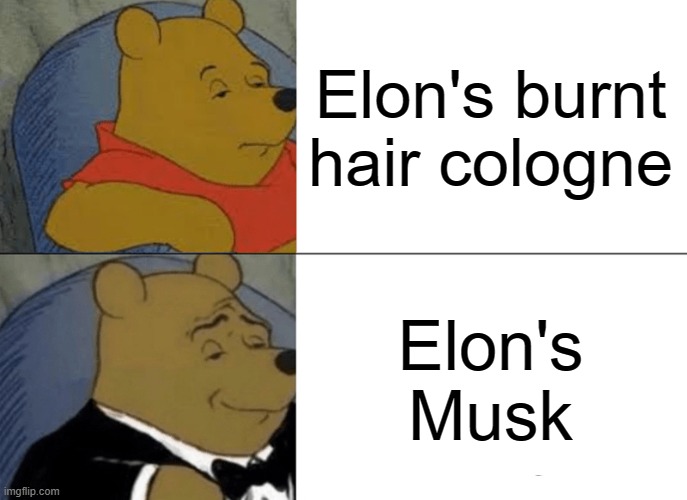 elon be wacky rn | Elon's burnt hair cologne; Elon's Musk | image tagged in memes,tuxedo winnie the pooh | made w/ Imgflip meme maker
