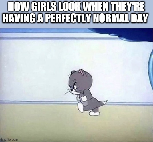 Why tho |  HOW GIRLS LOOK WHEN THEY'RE HAVING A PERFECTLY NORMAL DAY | image tagged in angry cat tom and jerry | made w/ Imgflip meme maker