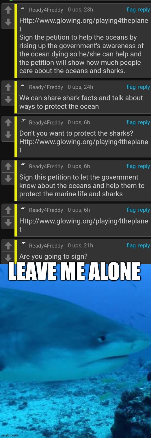LEAVE ME ALONE | image tagged in annoyed shark | made w/ Imgflip meme maker