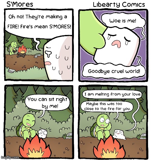 Smores | image tagged in smores,fire,marshmallow,marshmallows,comics,comics/cartoons | made w/ Imgflip meme maker