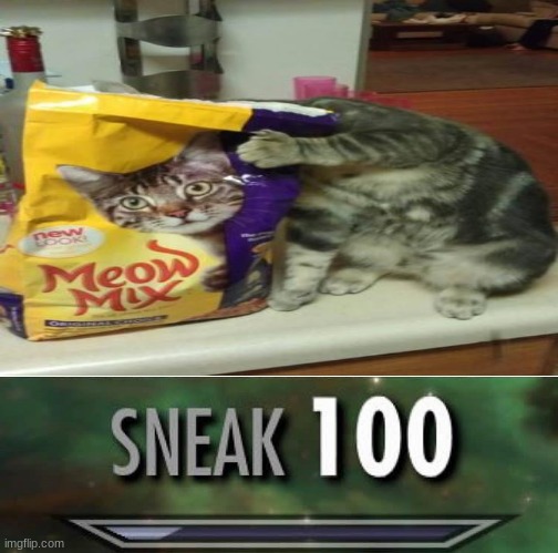 hehe sneak 100 indeed | image tagged in cat,sneak 100,sneaky,funny,meow | made w/ Imgflip meme maker