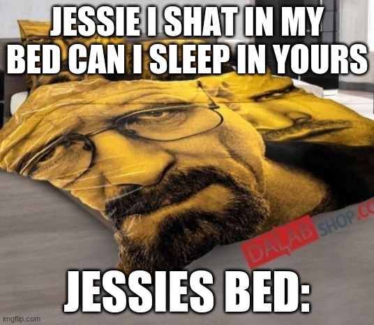 breakaing bad moment |  JESSIE I SHAT IN MY BED CAN I SLEEP IN YOURS; JESSIES BED: | image tagged in breaking bed | made w/ Imgflip meme maker