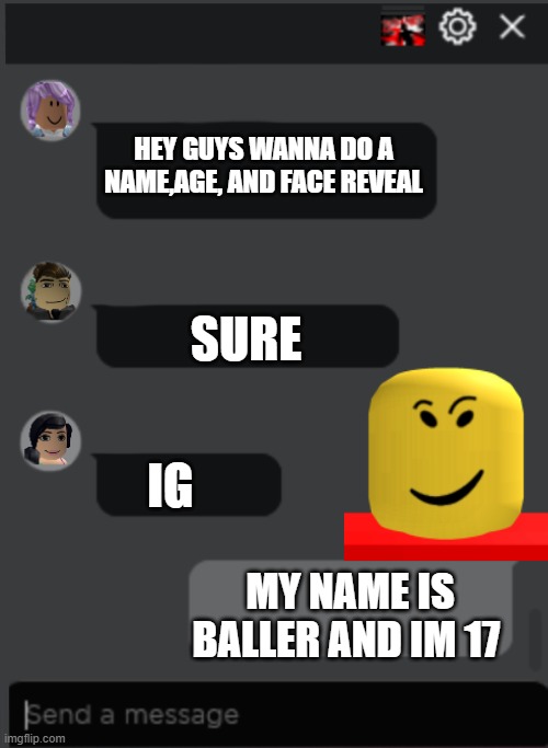 ok | HEY GUYS WANNA DO A NAME,AGE, AND FACE REVEAL; SURE; IG; MY NAME IS BALLER AND IM 17 | image tagged in roblox chat | made w/ Imgflip meme maker
