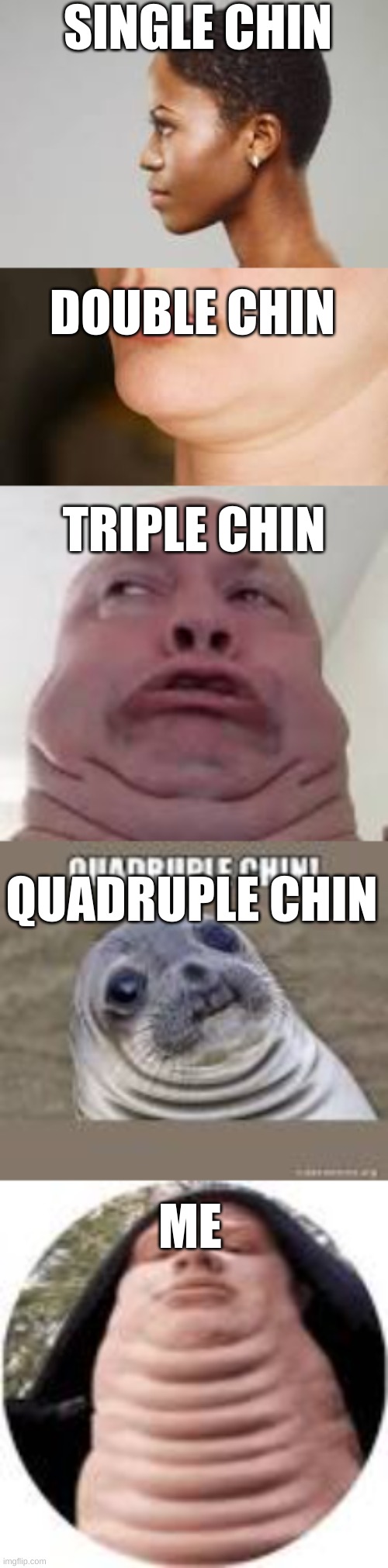 Chins | SINGLE CHIN; DOUBLE CHIN; TRIPLE CHIN; QUADRUPLE CHIN; ME | image tagged in chins | made w/ Imgflip meme maker