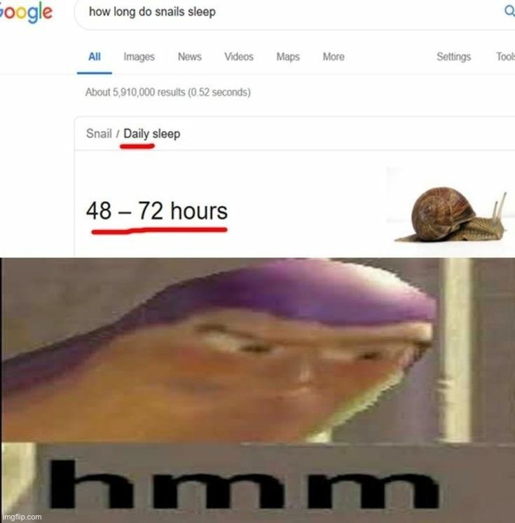 I wish I were a snail | image tagged in memes,funny | made w/ Imgflip meme maker