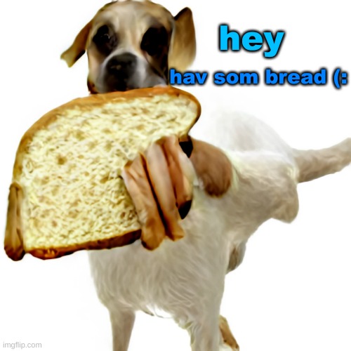 Accept this charming man's offer? | hey; hav som bread (: | image tagged in bread,dogs,food,cute,gaming | made w/ Imgflip meme maker