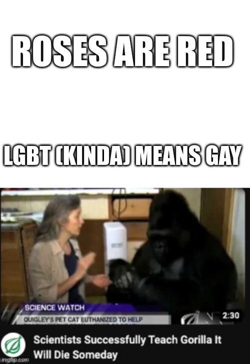 bubliga | ROSES ARE RED; LGBT (KINDA) MEANS GAY | image tagged in funny memes | made w/ Imgflip meme maker
