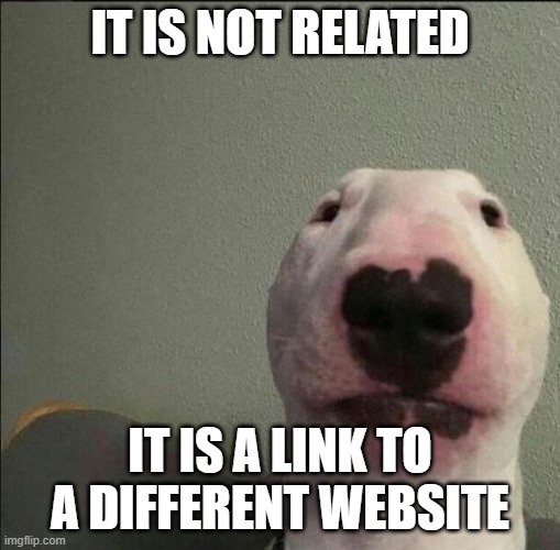 Idk idc | IT IS NOT RELATED IT IS A LINK TO A DIFFERENT WEBSITE | image tagged in idk idc | made w/ Imgflip meme maker