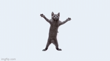 Report Abuse - Dancing Anime Cat Gif - Free Transparent PNG Clipart Images  Download