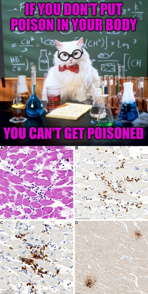 Its just science | IF YOU DON'T PUT POISON IN YOUR BODY; YOU CAN'T GET POISONED | image tagged in memes,chemistry cat | made w/ Imgflip meme maker