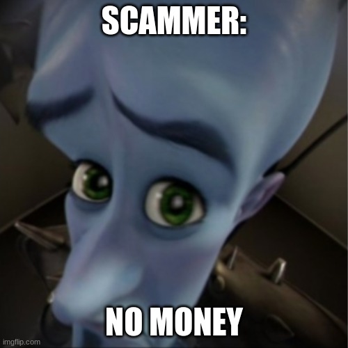 Megamind peeking | SCAMMER:; NO MONEY | image tagged in megamind peeking | made w/ Imgflip meme maker