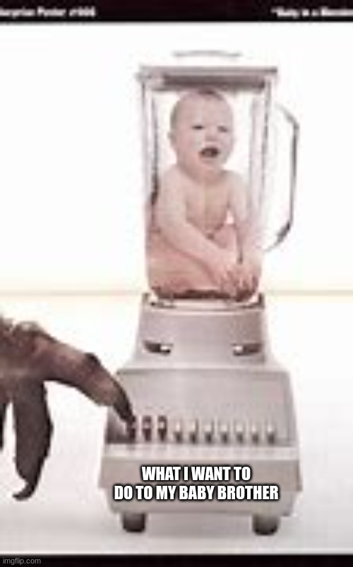 Yep, that's a blender | WHAT I WANT TO DO TO MY BABY BROTHER | image tagged in blender,baby | made w/ Imgflip meme maker