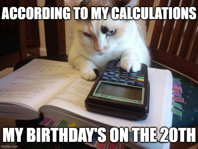 According to my calculations | ACCORDING TO MY CALCULATIONS MY BIRTHDAY'S ON THE 20TH | image tagged in according to my calculations | made w/ Imgflip meme maker