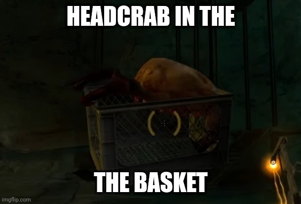 first post of the stream lolol | HEADCRAB IN THE; THE BASKET | image tagged in headcrab kidnapping | made w/ Imgflip meme maker