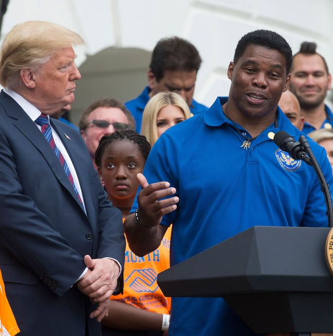 Donald Trump Herschel Walker 2022 Blank Meme Template