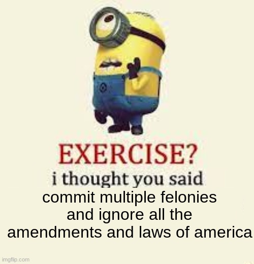 such a relatable memes | commit multiple felonies and ignore all the amendments and laws of america | made w/ Imgflip meme maker