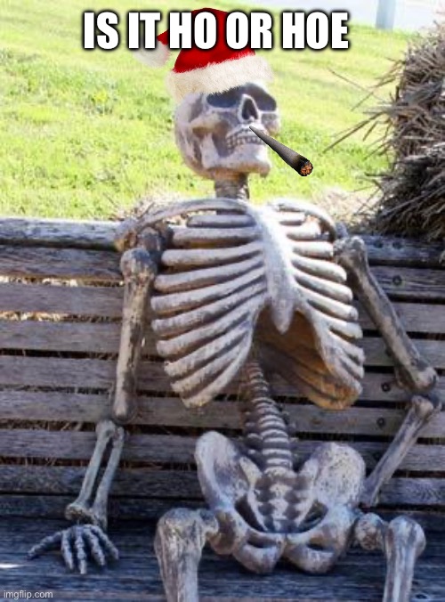 Waiting Skeleton | IS IT HO OR HOE | image tagged in memes,waiting skeleton | made w/ Imgflip meme maker