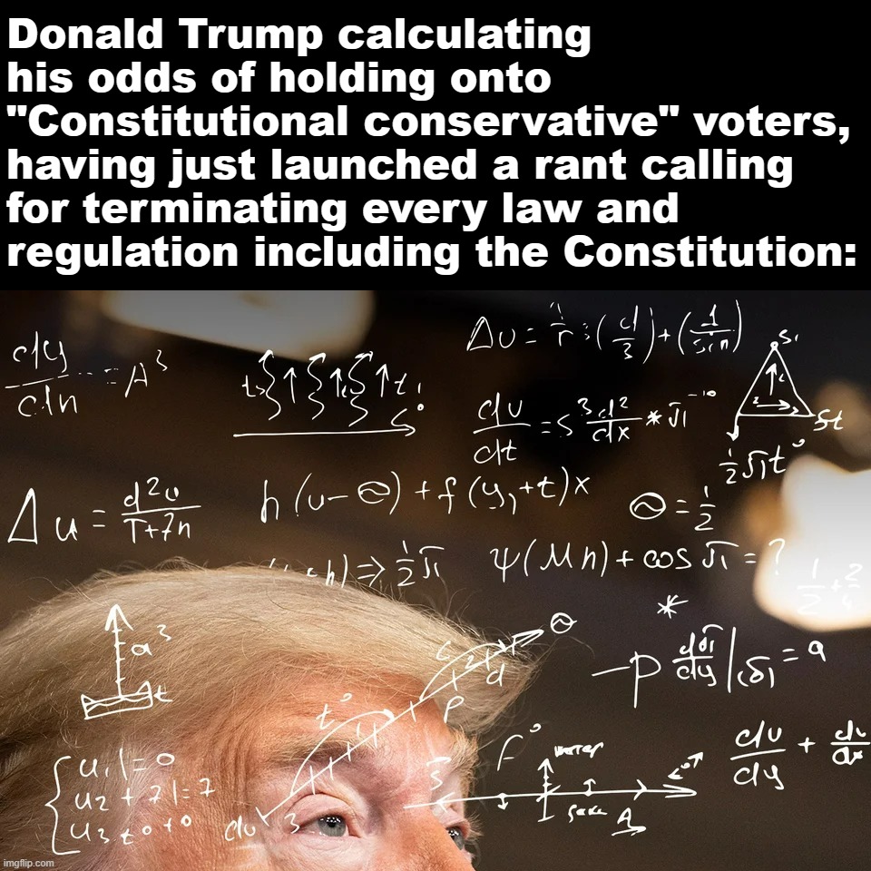 Yeah this is big brain time | Donald Trump calculating his odds of holding onto "Constitutional conservative" voters, having just launched a rant calling for terminating every law and regulation including the Constitution: | image tagged in donald trump calculating | made w/ Imgflip meme maker