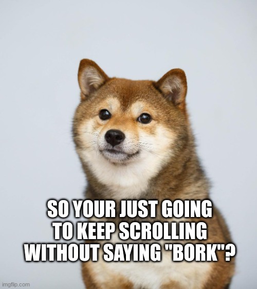 Do it for him... | SO YOUR JUST GOING TO KEEP SCROLLING WITHOUT SAYING "BORK"? | image tagged in shiba inu | made w/ Imgflip meme maker