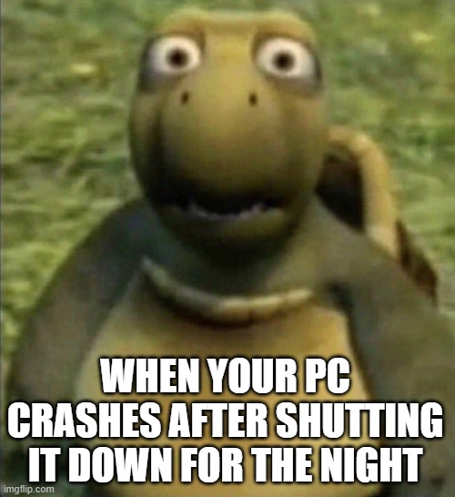 Crash Moment | WHEN YOUR PC CRASHES AFTER SHUTTING IT DOWN FOR THE NIGHT | image tagged in shocked turtle | made w/ Imgflip meme maker