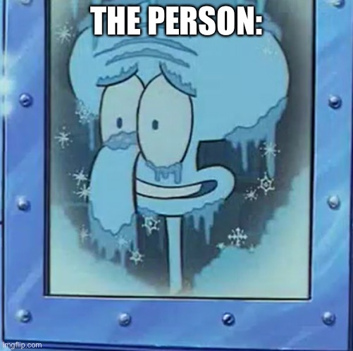 Frozen Squidward | THE PERSON: | image tagged in frozen squidward | made w/ Imgflip meme maker
