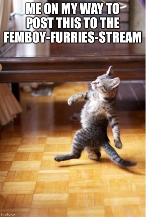 Walking Cat | ME ON MY WAY TO POST THIS TO THE FEMBOY-FURRIES-STREAM | image tagged in walking cat | made w/ Imgflip meme maker