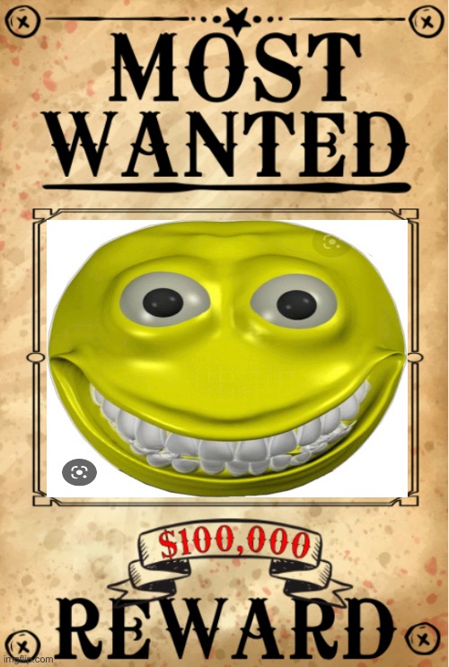 Have you see this Theif 100’000 dollar reward lives in India ?? | image tagged in cursed | made w/ Imgflip meme maker