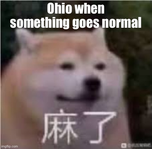 If the is offends you just comment and I’ll delete it. | Ohio when something goes normal | made w/ Imgflip meme maker