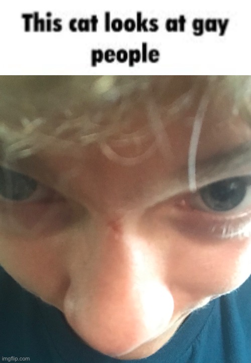Literally me (the joke here is that this image is not actually of a cat, but me. It’s funny because i am spreading misformation  | made w/ Imgflip meme maker
