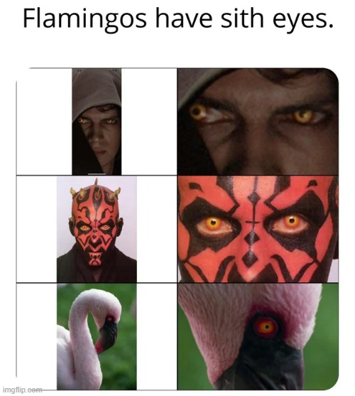 Did You Know? | image tagged in star wars,sith | made w/ Imgflip meme maker