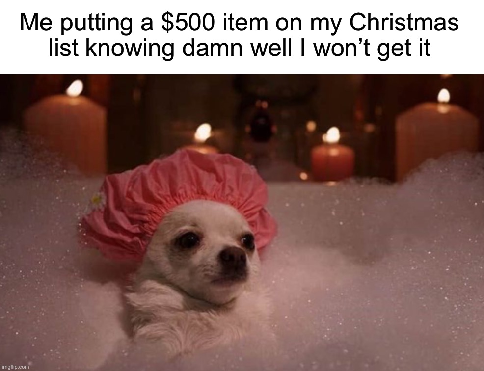 I just jot ideas down randomly sometimes |  Me putting a $500 item on my Christmas list knowing damn well I won’t get it | image tagged in memes,funny,true story,christmas,relatable memes,christmas gifts | made w/ Imgflip meme maker