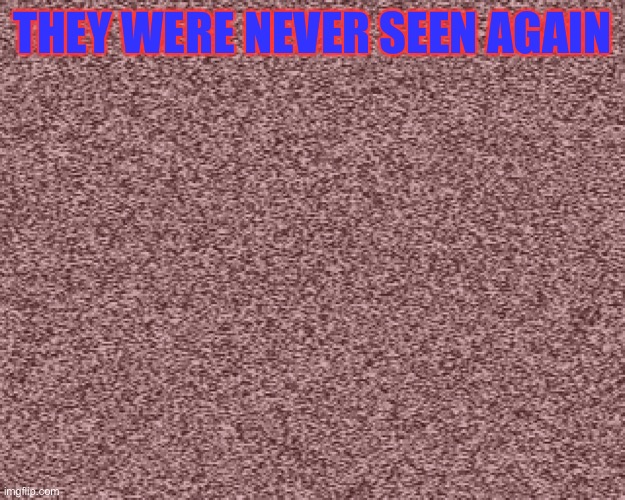 Sonic exe static | THEY WERE NEVER SEEN AGAIN | image tagged in sonic exe static | made w/ Imgflip meme maker