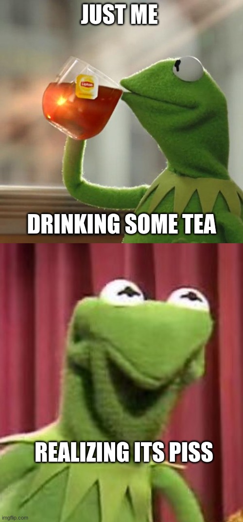 JUST ME; DRINKING SOME TEA; REALIZING ITS PISS | image tagged in kermit frog tea | made w/ Imgflip meme maker