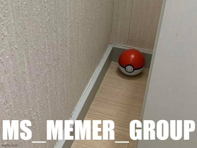 only in MSMG | MS_MEMER_GROUP | image tagged in memes | made w/ Imgflip meme maker