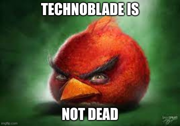 029343 | TECHNOBLADE IS; NOT DEAD | image tagged in realistic red angry birds | made w/ Imgflip meme maker