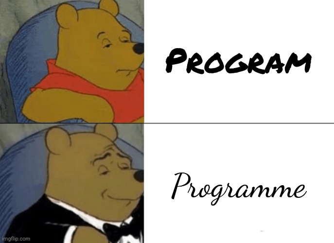 Tuxedo Winnie The Pooh Meme | Program Programme | image tagged in memes,tuxedo winnie the pooh | made w/ Imgflip meme maker