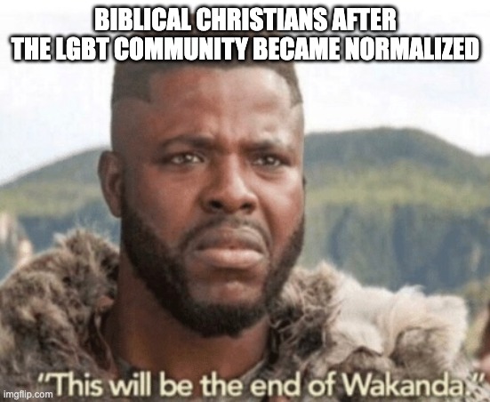This will be the end of wakanda | BIBLICAL CHRISTIANS AFTER THE LGBT COMMUNITY BECAME NORMALIZED | image tagged in this will be the end of wakanda | made w/ Imgflip meme maker