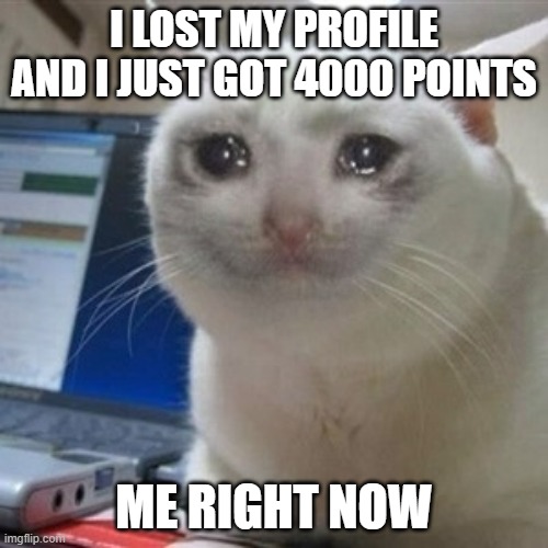 sad | I LOST MY PROFILE AND I JUST GOT 4000 POINTS; ME RIGHT NOW | image tagged in crying cat,sad | made w/ Imgflip meme maker