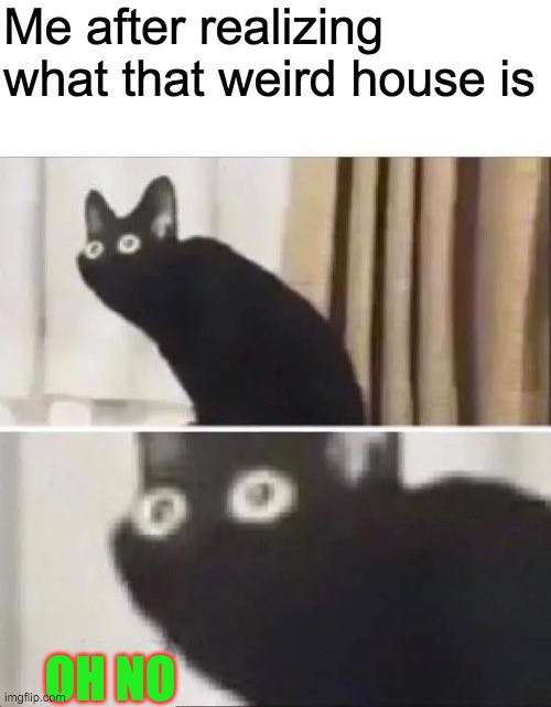 Oh No Black Cat | Me after realizing what that weird house is OH NO | image tagged in oh no black cat | made w/ Imgflip meme maker