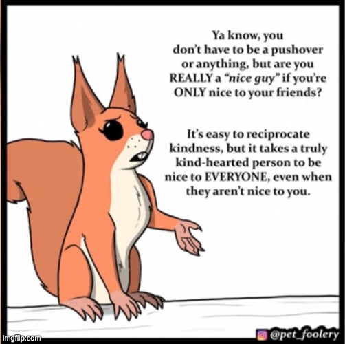 A squirrel | image tagged in you are not a nice guy if you are only nice to your friends | made w/ Imgflip meme maker