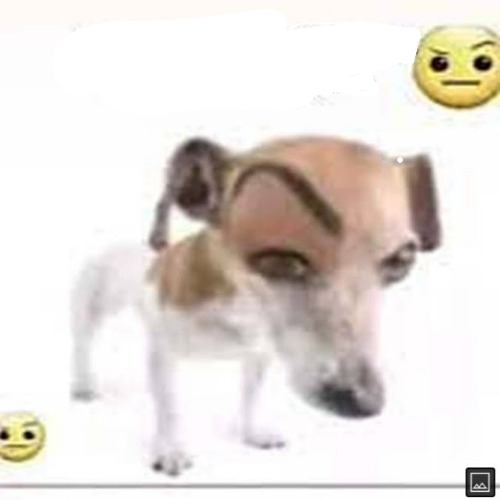 High Quality sus dog Blank Meme Template